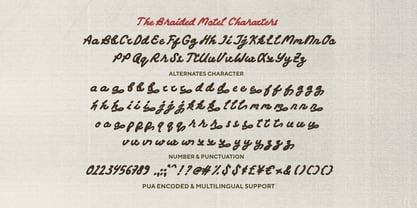 Braided Motel Font Poster 7