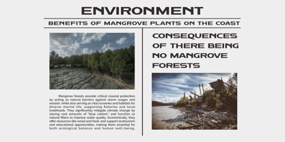 Draventa Font Poster 2