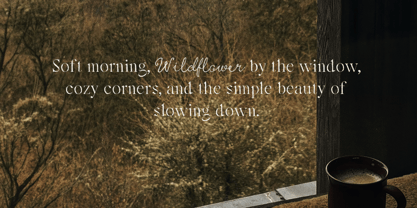 Natural Cottage Font Poster 7
