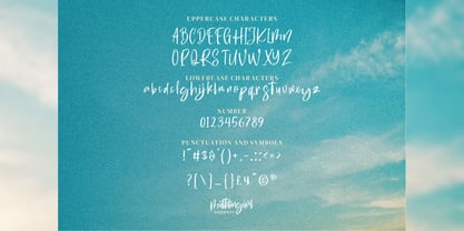 Swite Brush Font Poster 3