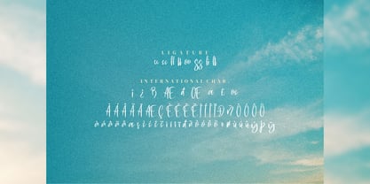 Swite Brush Font Poster 4