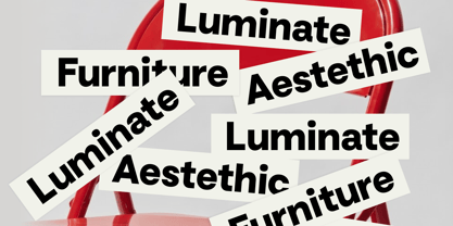 Sunzine Font Poster 8
