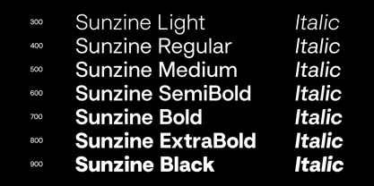 Sunzine Font Poster 13