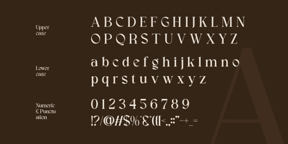 Coralie Font Poster 8