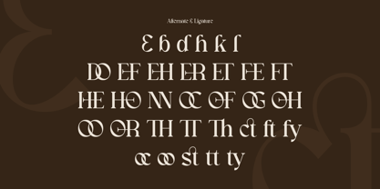 Coralie Font Poster 9