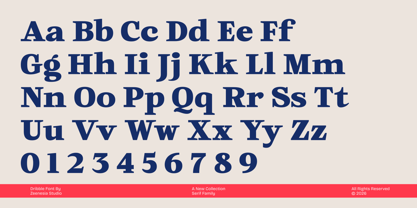 Dribble Font Poster 14
