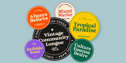 Dribble Font Poster 4