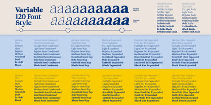 Dribble Font Poster 13