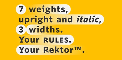 Rektor Variable Concept Font Poster 5