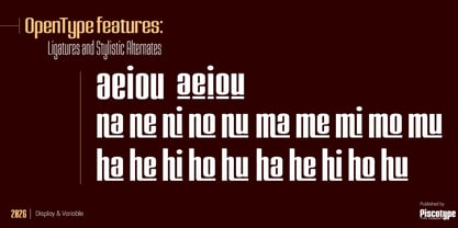 Nazca Font Poster 5