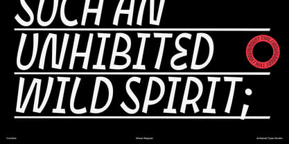 Cumbre Font Poster 5