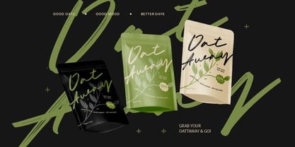 Kamaline Handbrush Font Poster 4