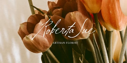 Aesthetic Shine Font Poster 6