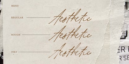 Aesthetic Shine Font Poster 3