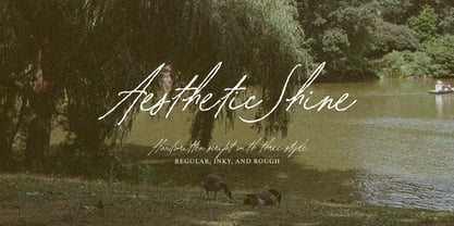 Aesthetic Shine Font Poster 1