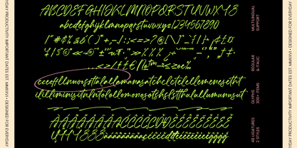Chastel Reid Font Poster 10