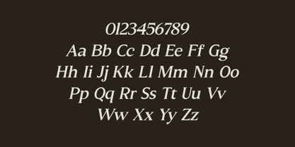 Molimer Font Poster 8