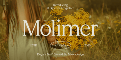 Molimer Font Poster 1