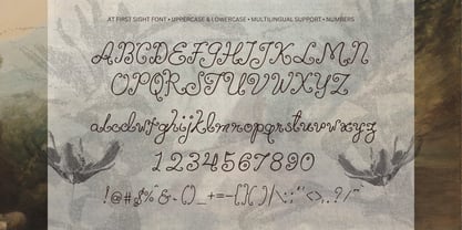 Pearlyn Font Poster 10