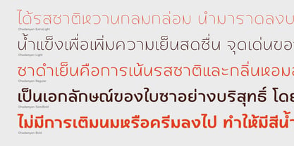 Chadamyen Font Poster 3