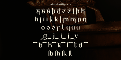 Houljoe Font Poster 9