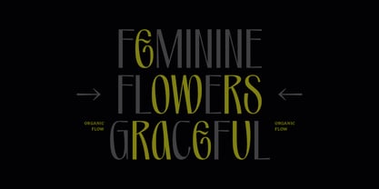 PRAK Moroway Font Poster 2