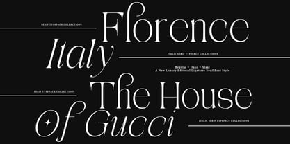 Aviluero Rasnora Font Poster 7