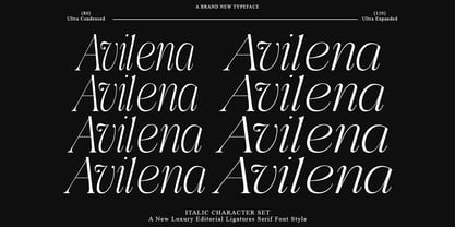 Aviluero Rasnora Font Poster 9