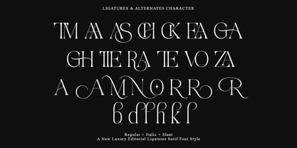 Aviluero Rasnora Font Poster 11