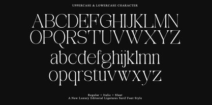 Aviluero Rasnora Font Poster 13