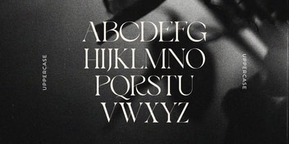 Bayari Font Poster 8