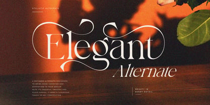 Bayari Font Poster 6