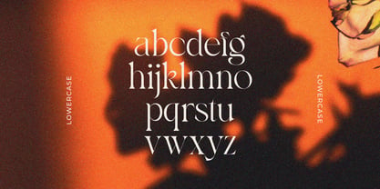 Bayari Font Poster 10
