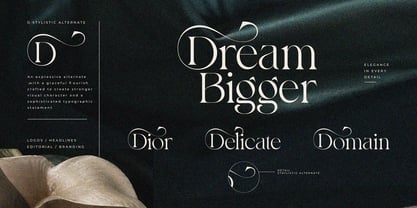 Bayari Font Poster 2