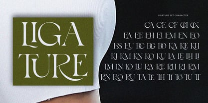 Bayari Font Poster 7