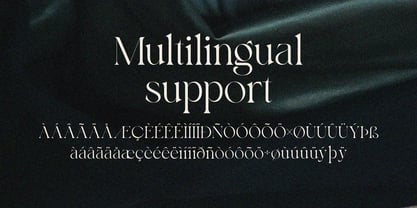 Bayari Font Poster 11