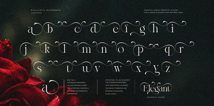 Bayari Font Poster 5