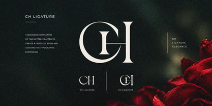 Bayari Font Poster 3