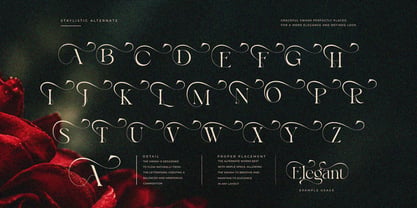 Bayari Font Poster 4
