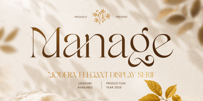 Manage Font Poster 1