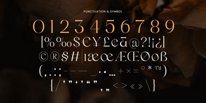 Manage Font Poster 10