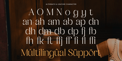 Manage Font Poster 12