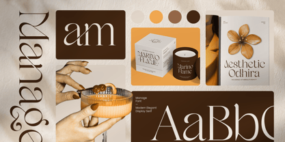 Manage Font Poster 2