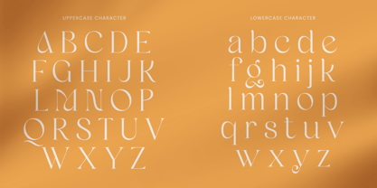 Manage Font Poster 11