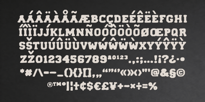 Forge Garage Font Poster 11