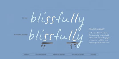 Tranquilly Font Poster 13