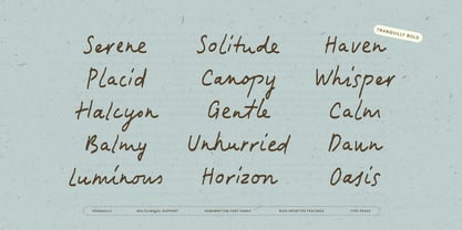 Tranquilly Font Poster 14