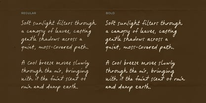 Tranquilly Font Poster 4