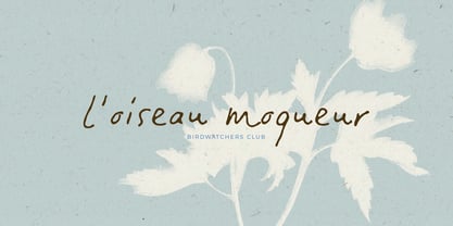 Tranquilly Font Poster 6