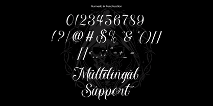 Nocthane Font Poster 10